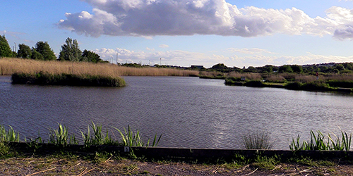 carols pond